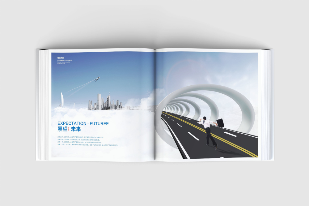 正定县画册设计